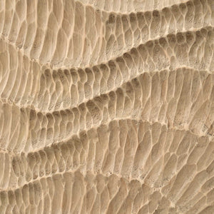 Eluvial Forest - Wall Art (Set of 2) - Brown