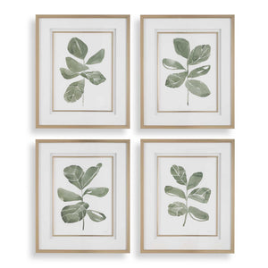 Fiddle Head - Leaf Botanical Prints (Set of 4) - Gold / Green / White