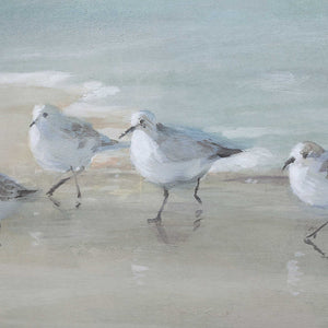 Tranquil Shorebirds On The Sand - Framed Print - Light Gray