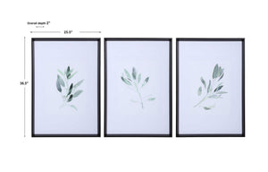 Set of three framed watercolor sage prints by Uttermost, featuring white backgrounds and elegant botanical artwork.