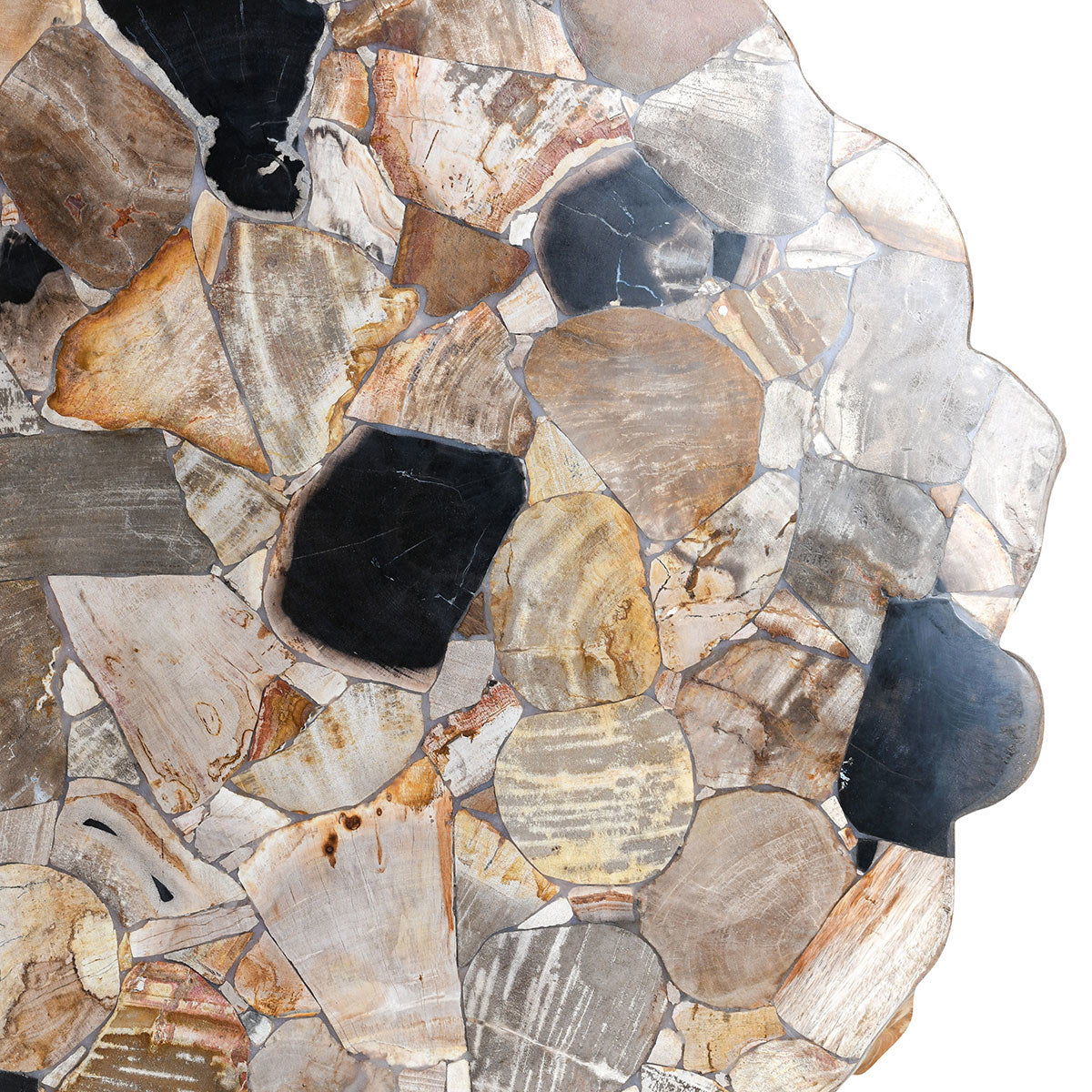Norwest - Petrified Wood Coffee Table - Natural - R&R Furniture Gallery (Fountain Valley, CA)