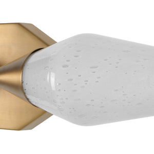 Agapanthus - 2 Light Sconce - Brass