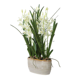 Ariana Orchid - Planter - Gray