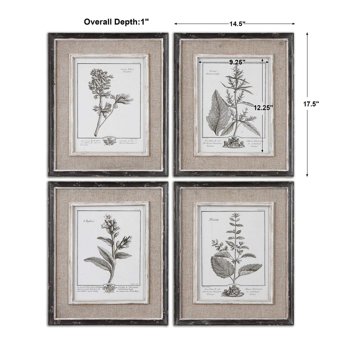 Casual Gray Study - Framed Art (Set of 4) - Beige