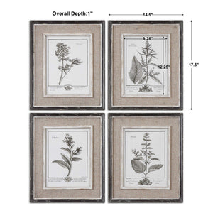Casual Gray Study - Framed Art (Set of 4) - Beige