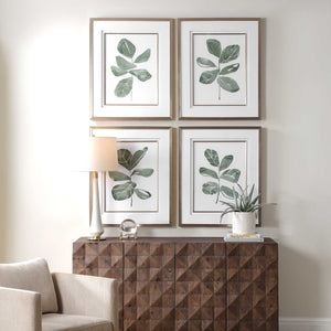 Fiddle Head - Leaf Botanical Prints (Set of 4) - Gold / Green / White