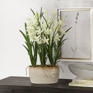 Ariana Orchid - Planter - Gray