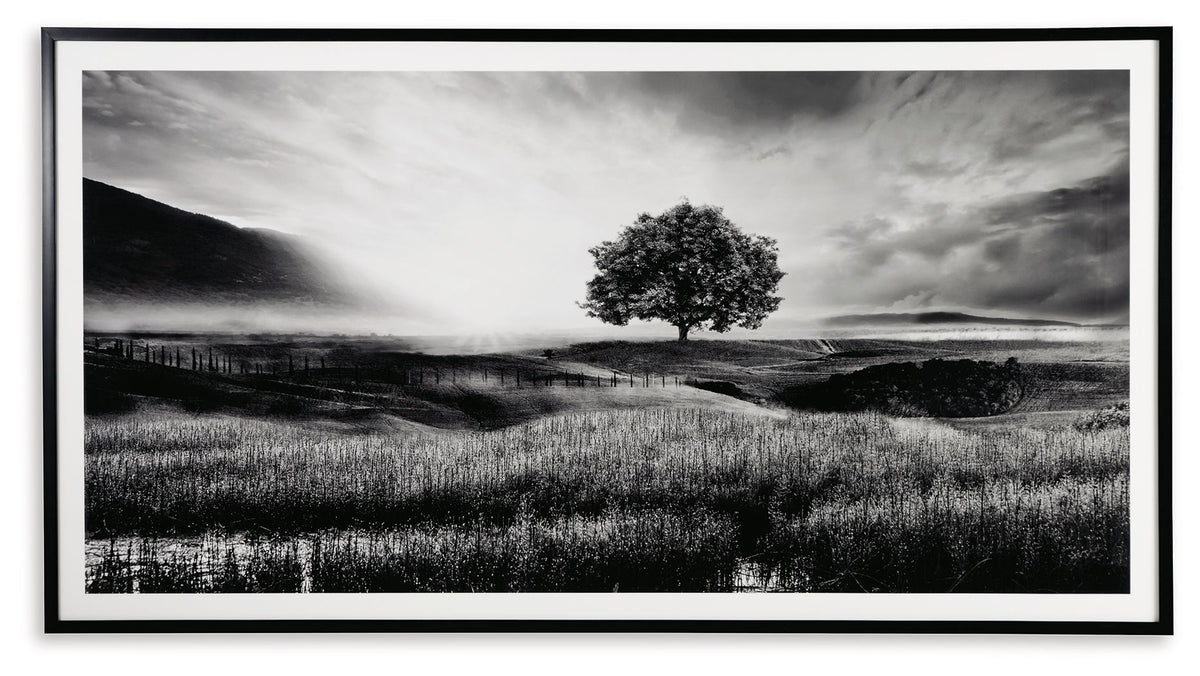 Deborland - Wall Art - Black / White - R&R Furniture Gallery (Fountain Valley, CA)