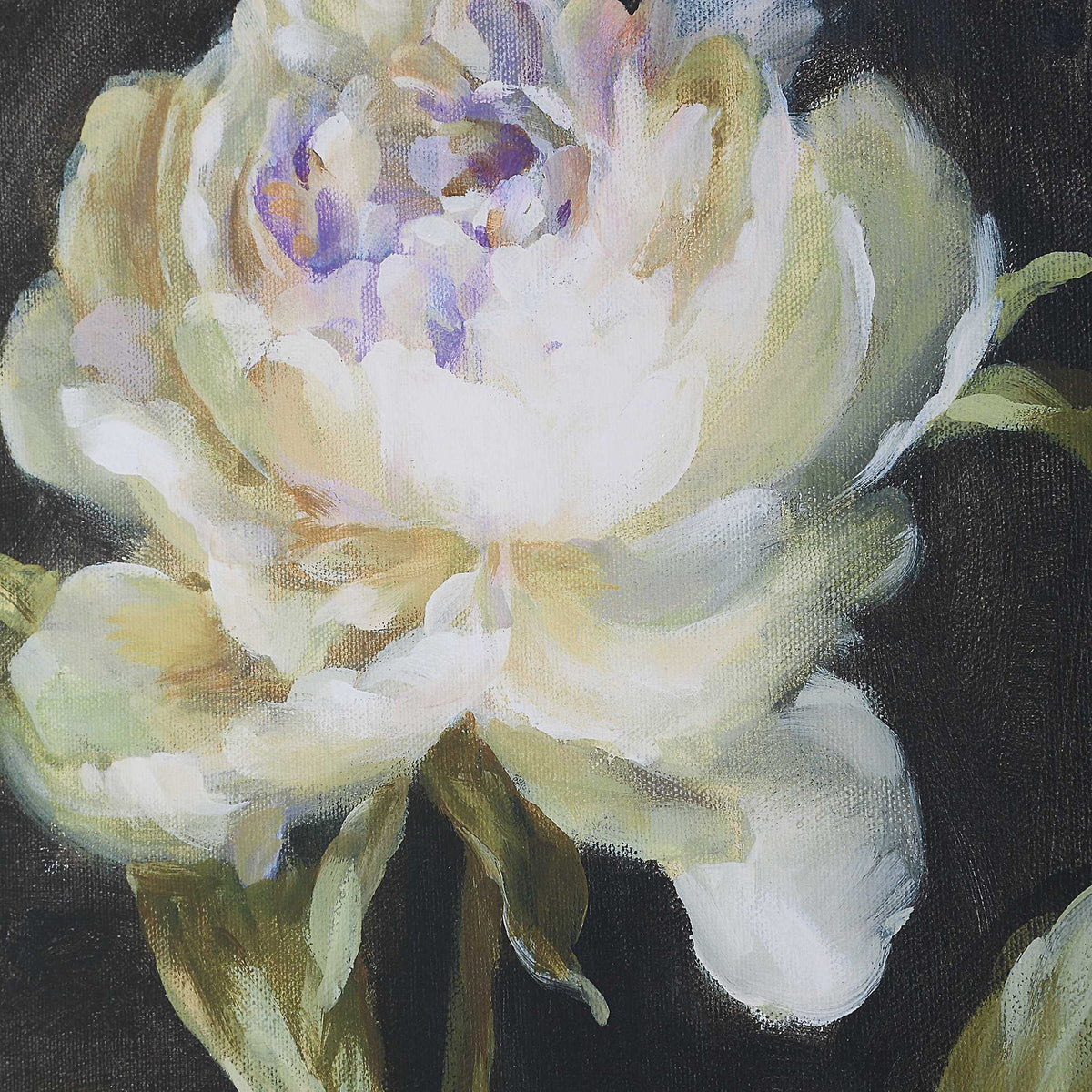 Florals On Black - Framed Prints (Set of 4) - Black