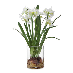 Lacey Daffodil - Accent Arrangement - White