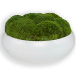 Gratia - Moss Centerpiece - Green / White