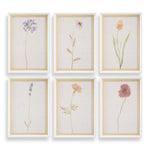 Wild Flourish - Framed Floral Prints (Set of 6) - Light Brown