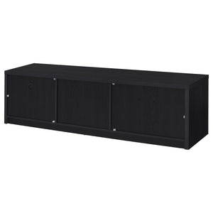 Ian - 2 Door TV Stand Media Console With Storage - Black