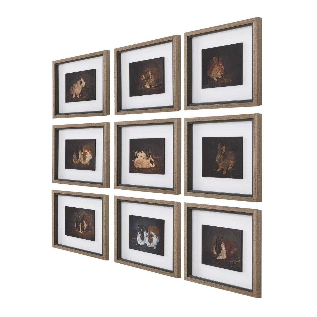 Resting Bunny - Framed Prints (Set of 9) - Dark Brown
