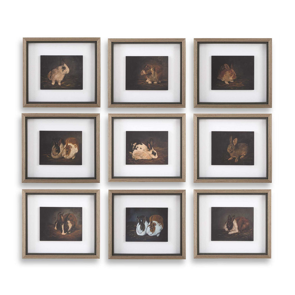 Resting Bunny - Framed Prints (Set of 9) - Dark Brown