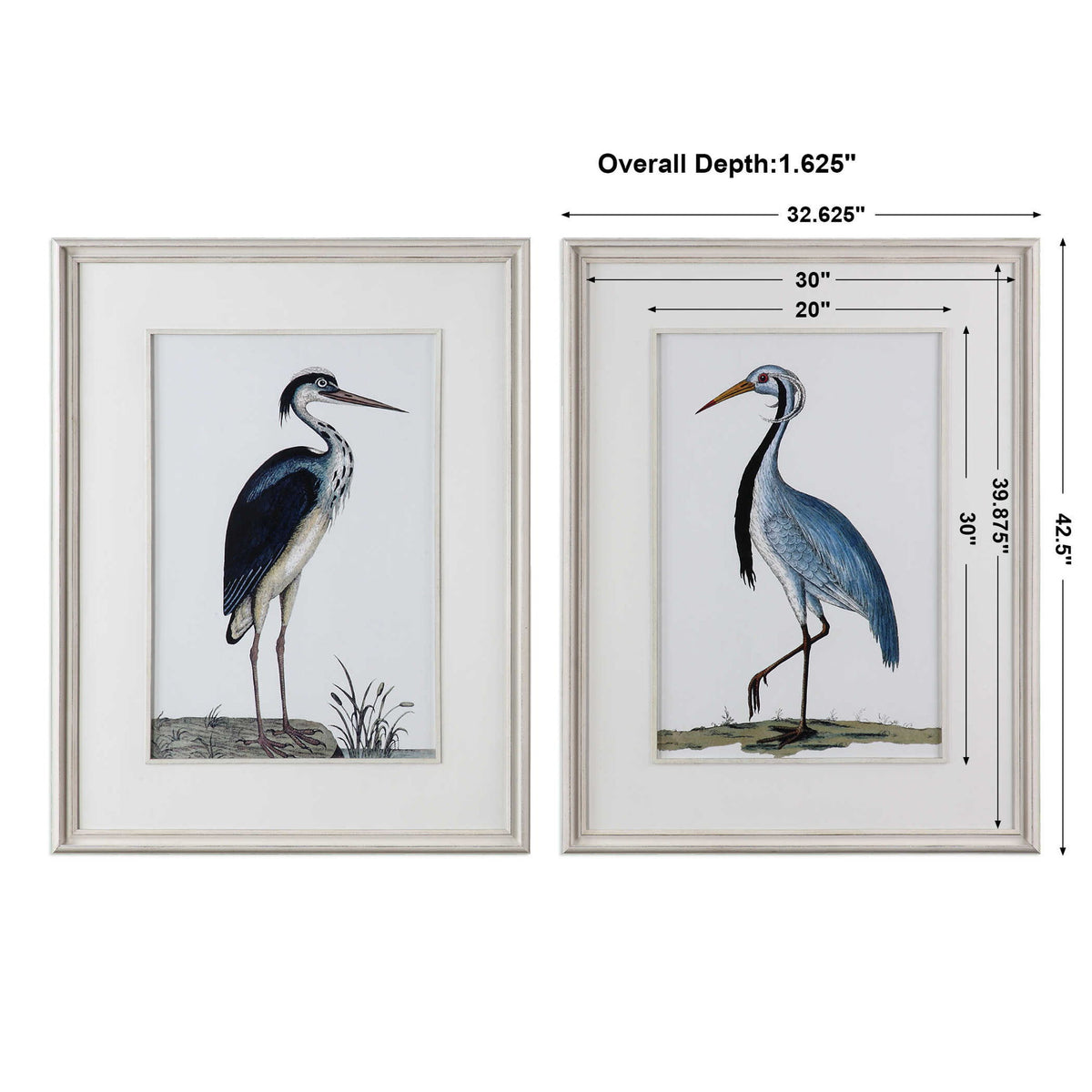 Shore Birds - Framed Prints (Set of 2) - Black