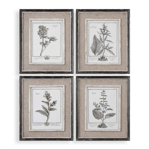 Casual Gray Study - Framed Art (Set of 4) - Beige
