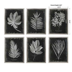 Set of six black framed foliage prints by Uttermost, featuring botanical artwork arranged in a stylish wall decor display.