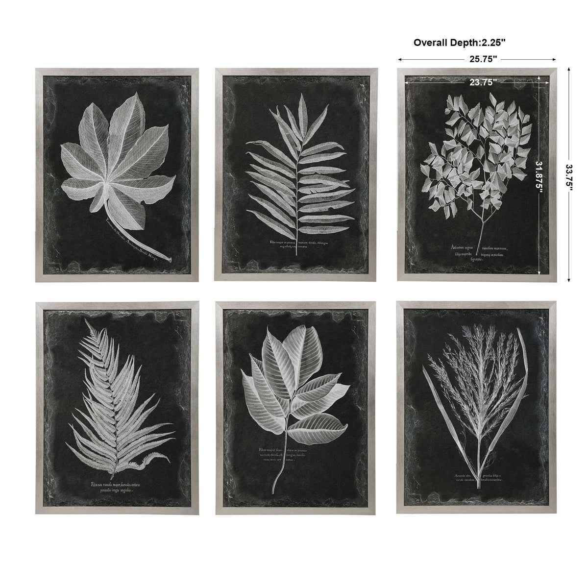 Set of six black framed foliage prints by Uttermost, featuring botanical artwork arranged in a stylish wall decor display.