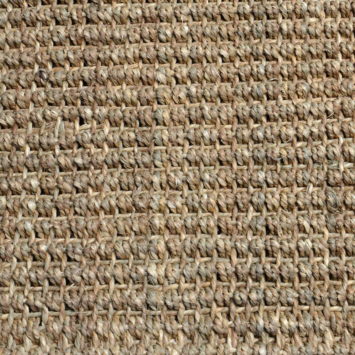 Seagrass - Rug