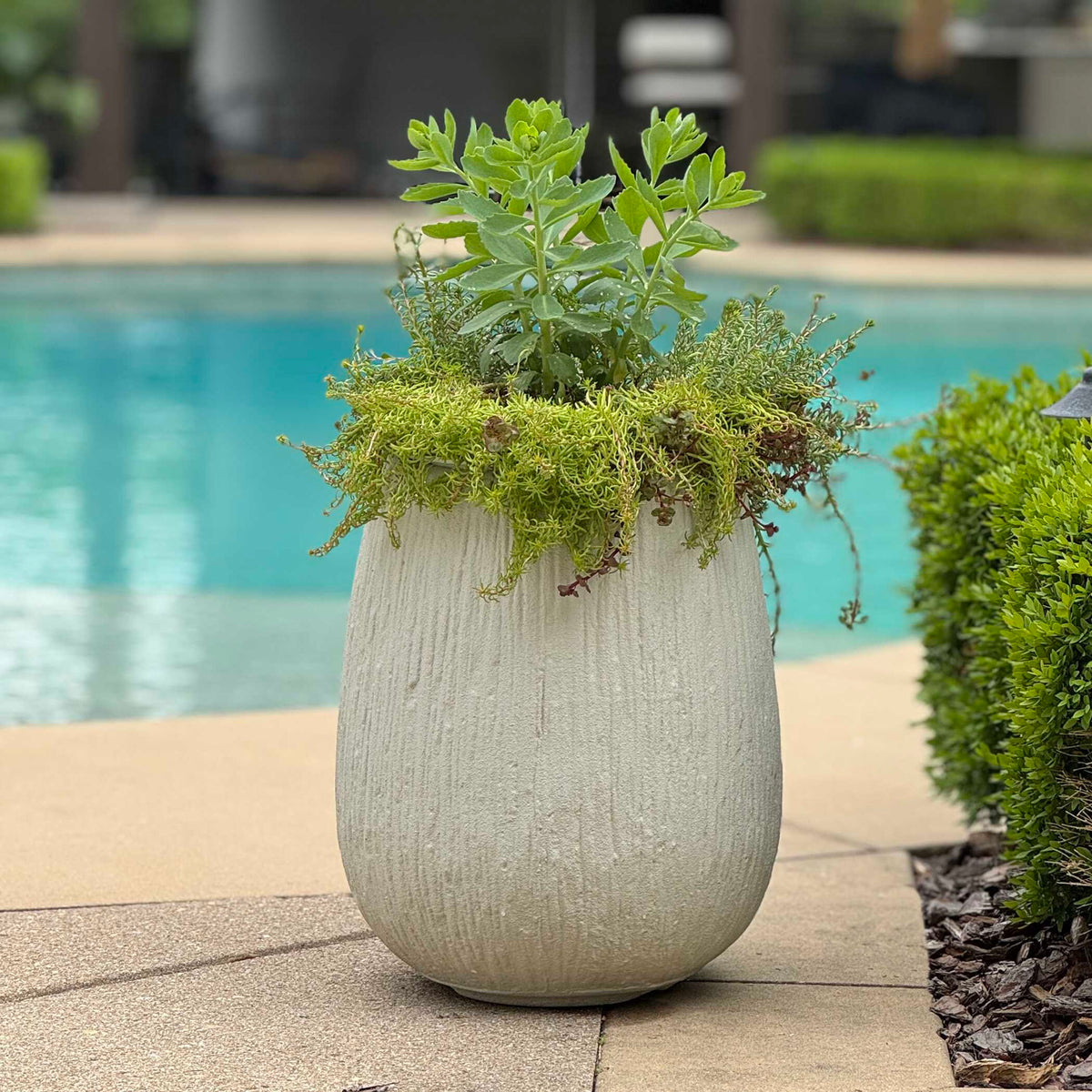 Rustic Ridge - Outdoor Planter - Off-White