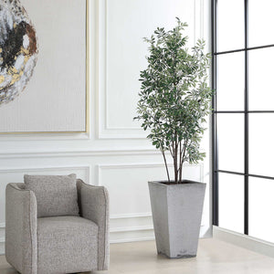 Sonora Olive - Tree In Planter - Gray / Green