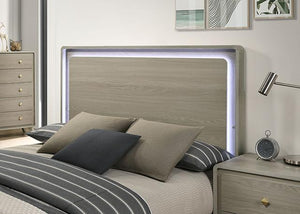 Rainier Bed Gray - R&R Furniture Gallery (Fountain Valley, CA)
