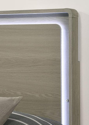 Rainier Bed Gray - R&R Furniture Gallery (Fountain Valley, CA)