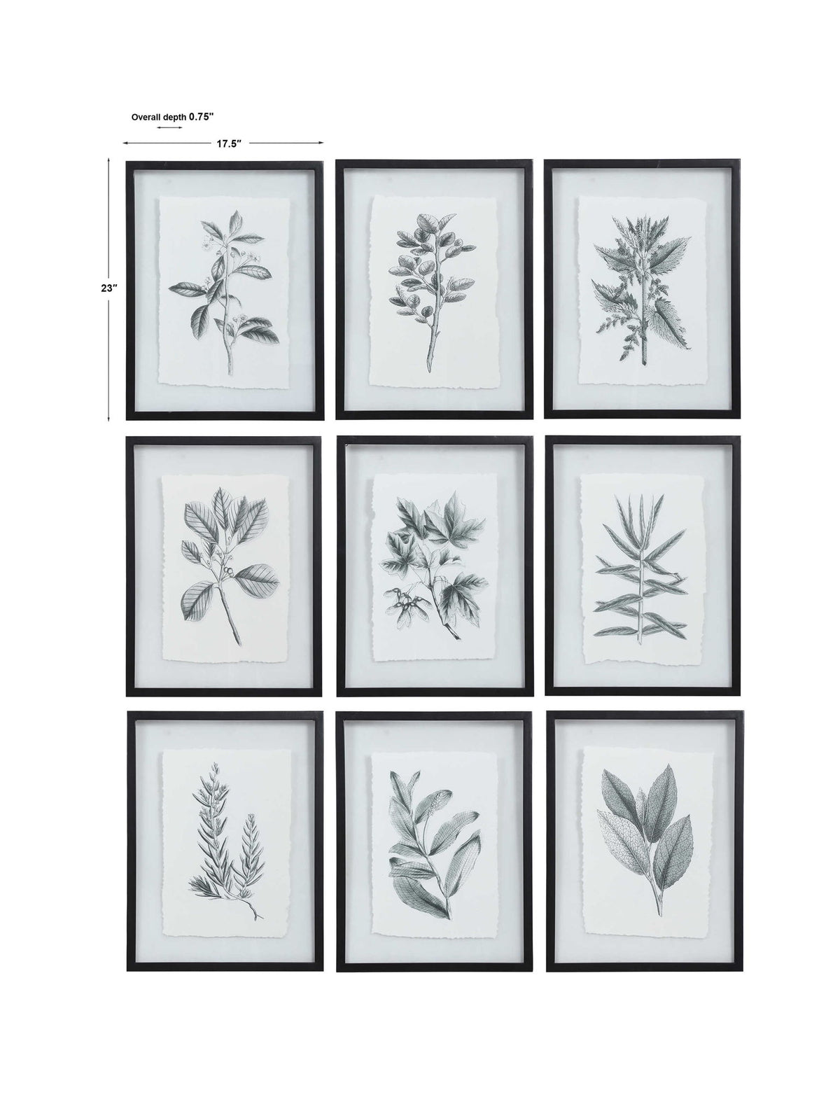 Set of nine farmhouse floral framed prints by Uttermost in black, featuring rustic botanical artwork for wall decor.
