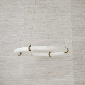 Entangled Vine - 1 Light Pendant - Brass