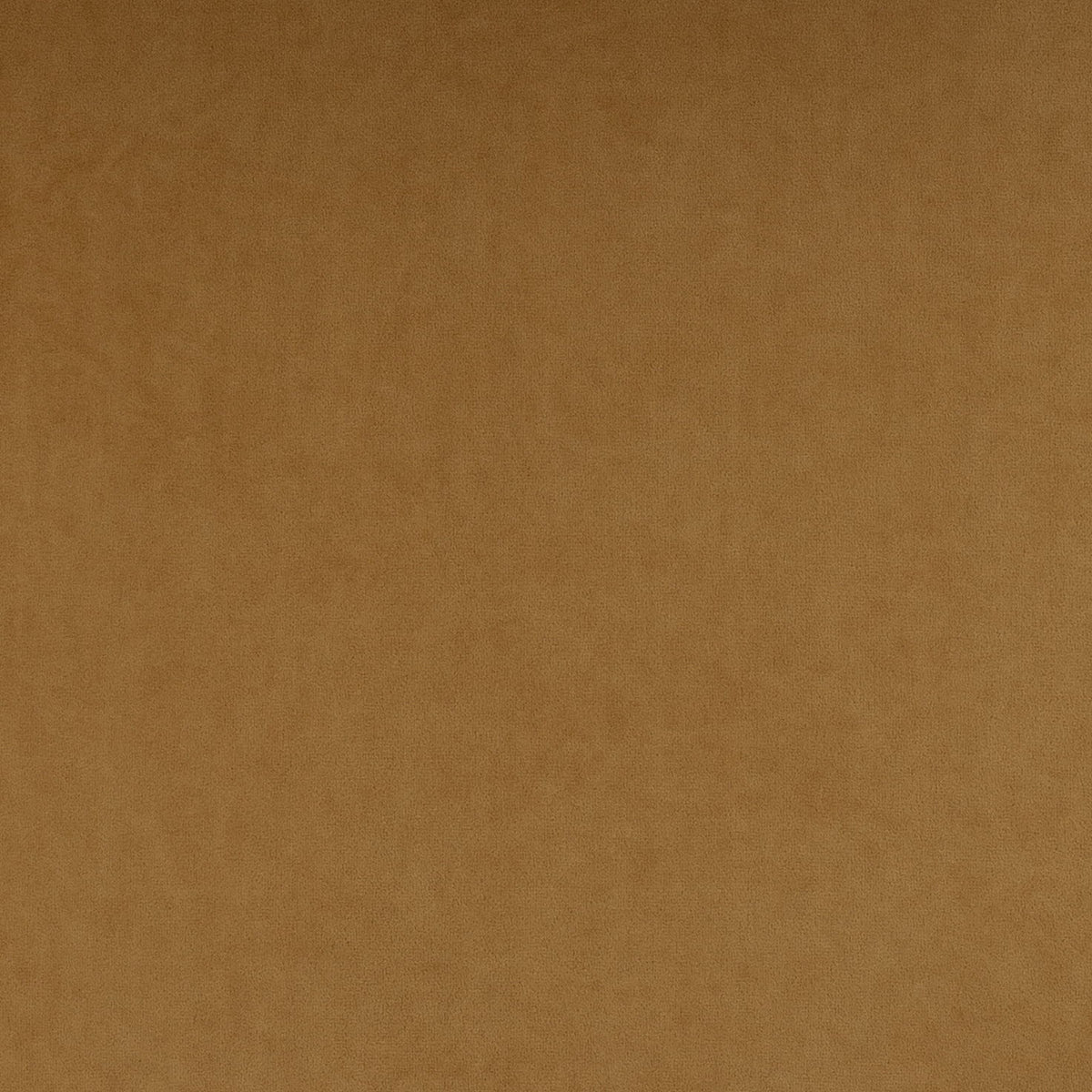 Calla - Performance Velvet Dining Chair - R&R Furniture Gallery (Fountain Valley, CA)