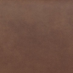 Status Check - Rocker Recliner - R&R Furniture Gallery (Fountain Valley, CA)