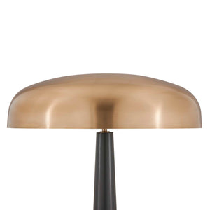 Davis - Floor Lamp - Black,Brass,Gold