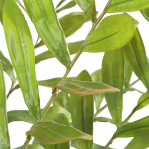 Zamia - Palm Accent In Planter - Green