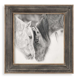 Framed print of black and white horses on dark brown background by Uttermost, showcasing detailed horse artwork in a stylish frame.