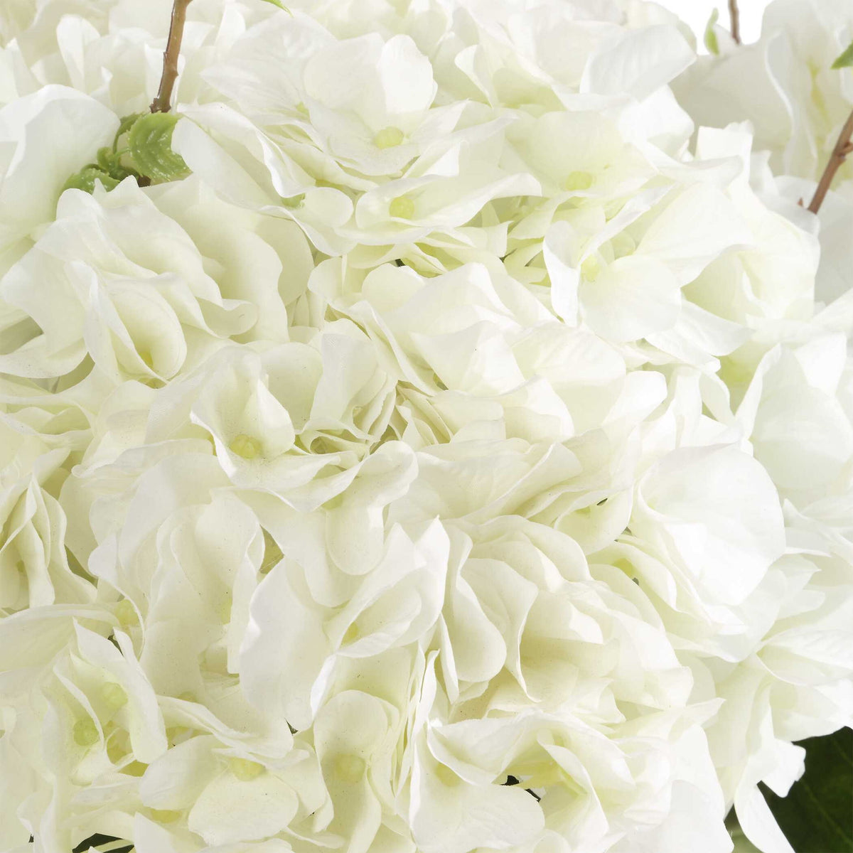Anastasia Hydrangea - Centerpiece - White