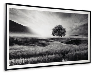 Deborland - Wall Art - Black / White - R&R Furniture Gallery (Fountain Valley, CA)