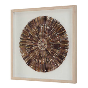 Tiger Sea Urchin - Shadow Box - Brown
