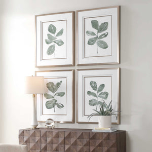 Fiddle Head - Leaf Botanical Prints (Set of 4) - Gold / Green / White