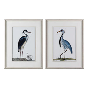 Shore Birds - Framed Prints (Set of 2) - Black