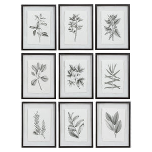 Set of 9 farmhouse floral framed prints by Uttermost featuring black frames and vibrant floral artwork.