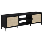 Kenneth - 2 Door TV Stand Doors - Black