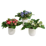 Trilogy Primrose - Accents In Vases (Set of 3) - Green / White