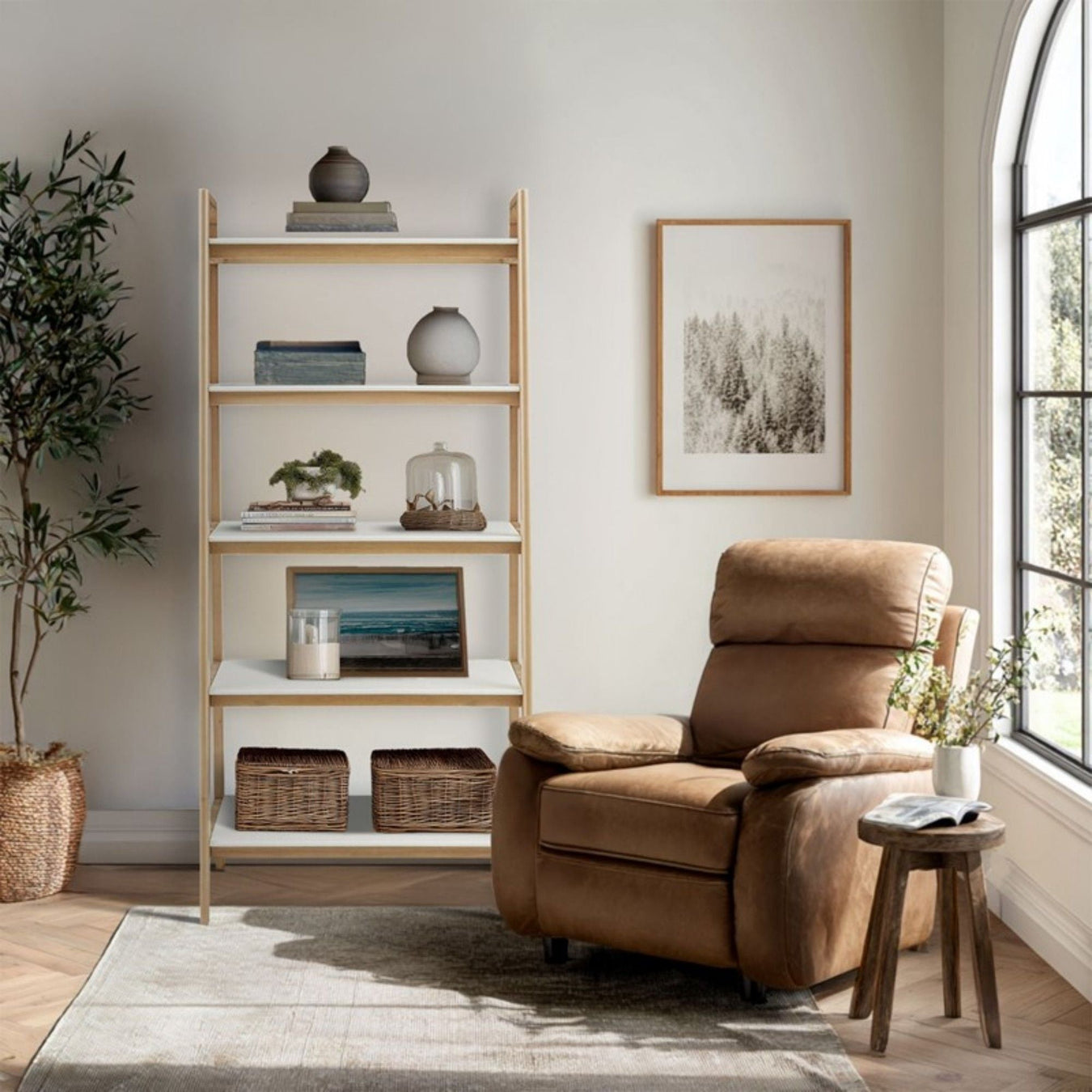 Living Room > Bookcases