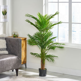 Planters & Vases