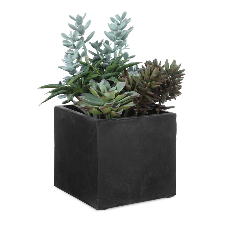 Planters & Vases
