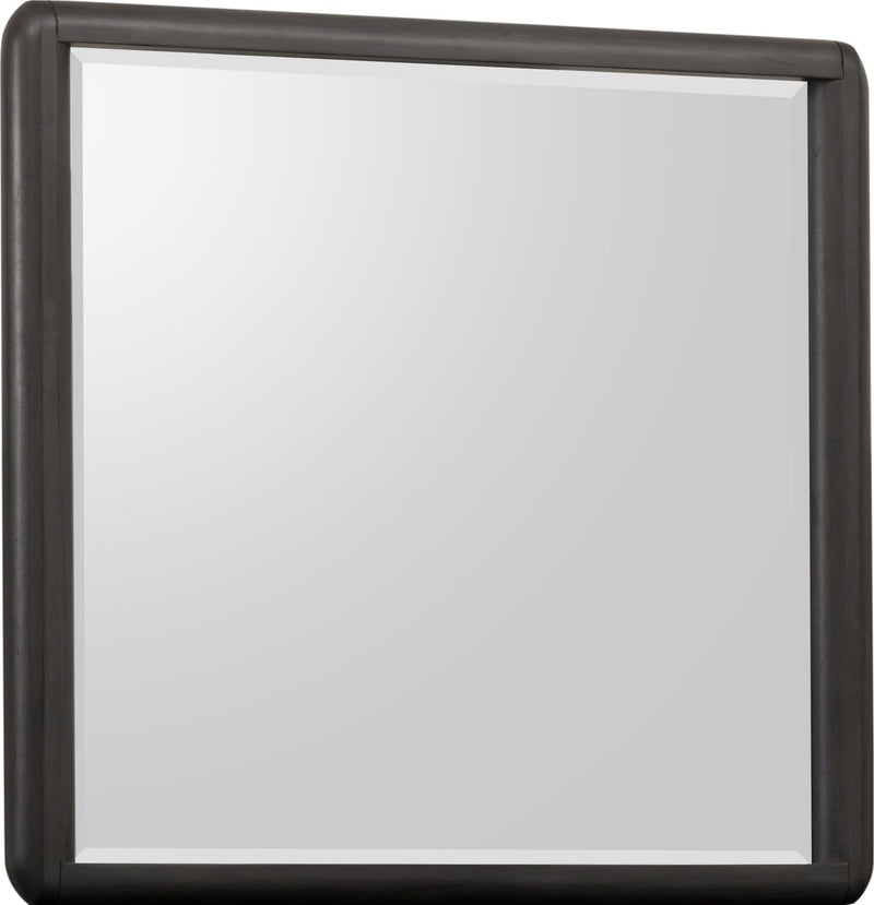 Xolani Beveled Glass Wall or Dresser Mirror in Jaguar