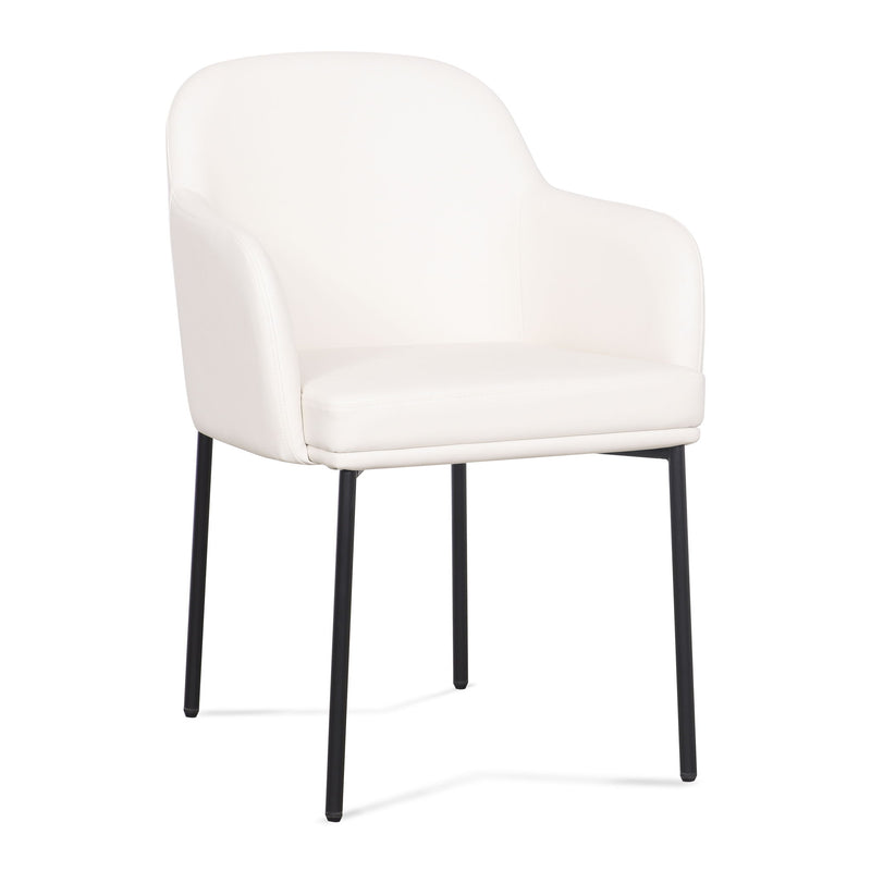 Pair of Sydney armchairs by TOV Furniture, stylish comfortable chairs with modern design, set of two for living room decor.