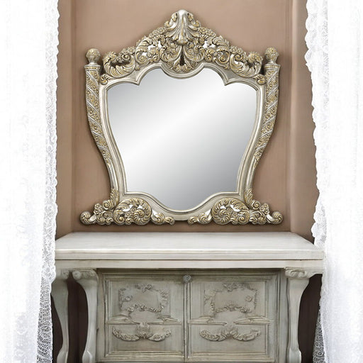 Danae - Mirror - Champagne & Gold - R&R Furniture Gallery (Fountain Valley, CA)