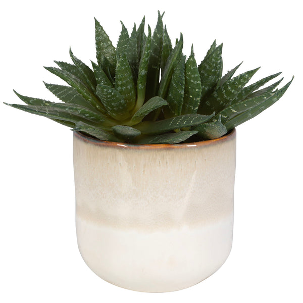 Doha - Succulent Accent - Light Gray
